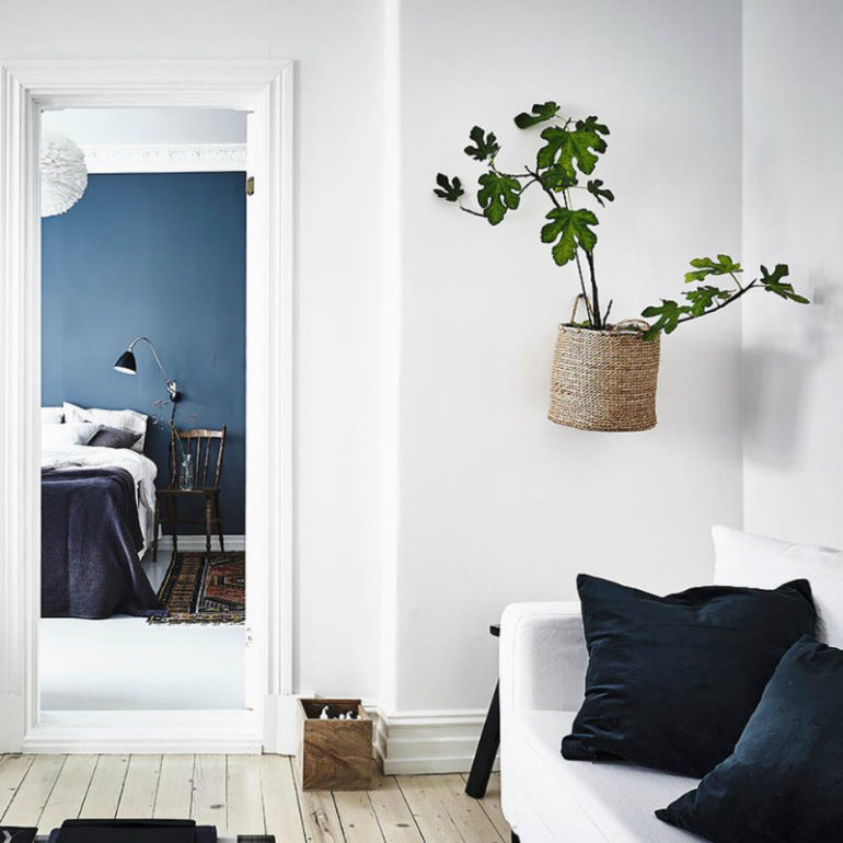 Συκιά κρεμασμένη από ψάθινη θήκη.