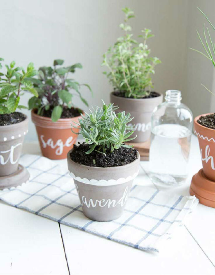 Βαμμένες γλάστρες με μυρωδικά.