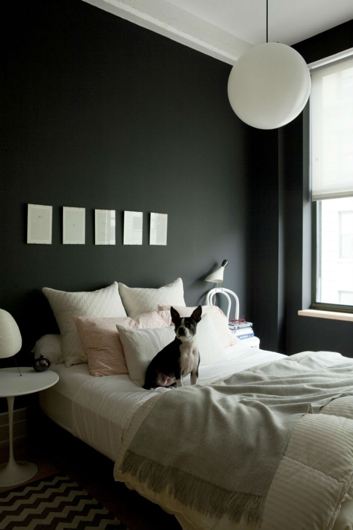 Τα κατοικίδια παρακαλούνται να απομακρυνθούν από τα υπνοδωμάτια. Είναι απλά μια πολύ μεγάλη περίσπαση.