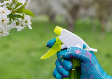 ψεκαστηρι για κηπο