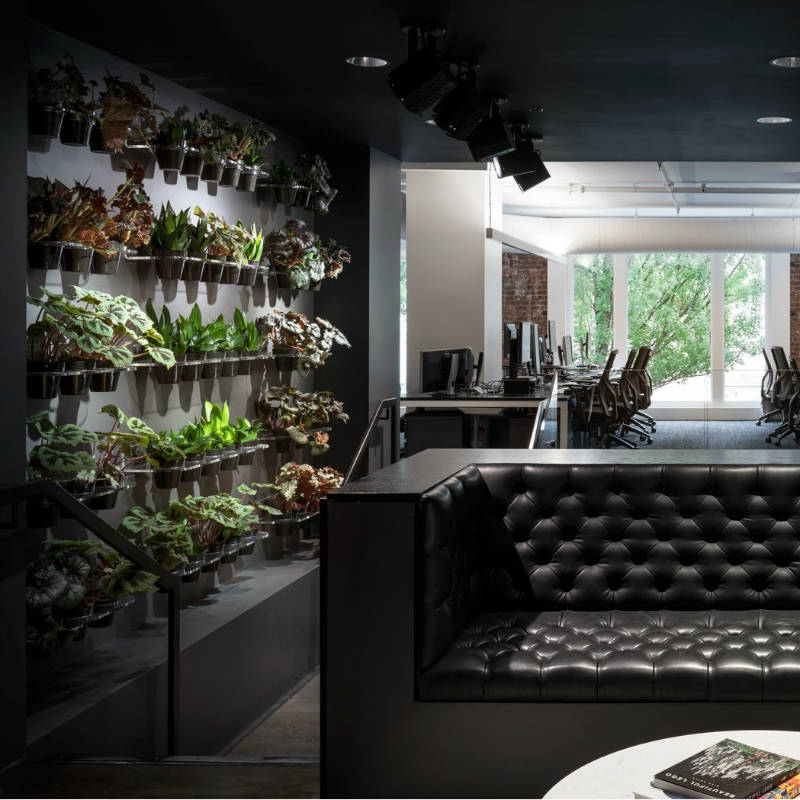 Από την μια το δραματικό χρώμα και ύφος και από την άλλη η ζωή μέσα από τον κάθετο αυτό κήπο. Η εταιρεία που το δημιούργησε ειδικεύεται στην κατασκευή διαδικτυακών ιστοτόπων.