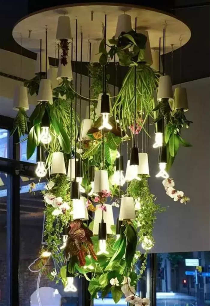 Φυτά κρεμασμένα ανάποδα.