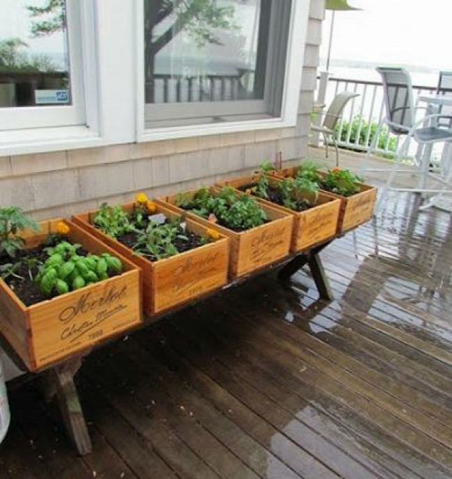 Κασόνια από κρασί ως μικρά κηπάκια.