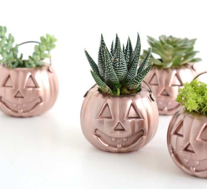Κολοκύθες γλαστράκια βαμμένα σε rose gold.