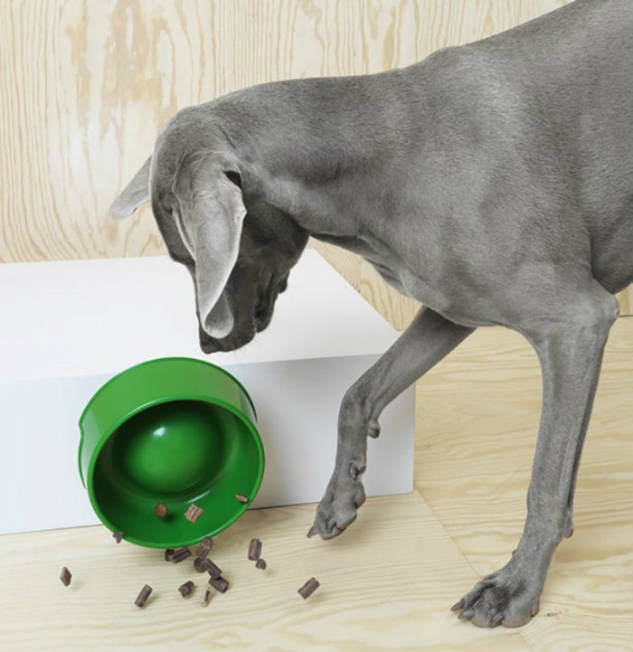 Μπωλάκι σκύλου με εξογκώματα ώστε να μην καταβροχθίζει το φαγητό του.
