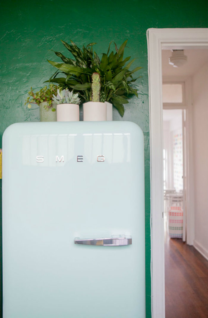 φυτα πανω απο το ψυγειο