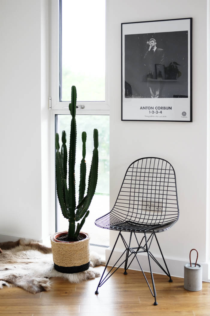 πρασινο τεχνη σχεδιασμος και μοδα