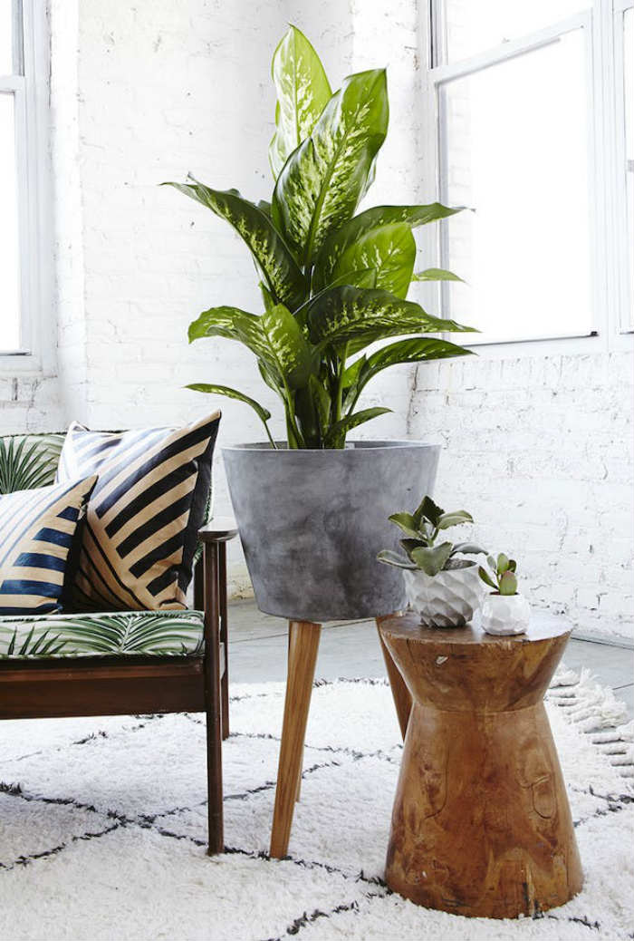 τσιμεντενια γλαστρα