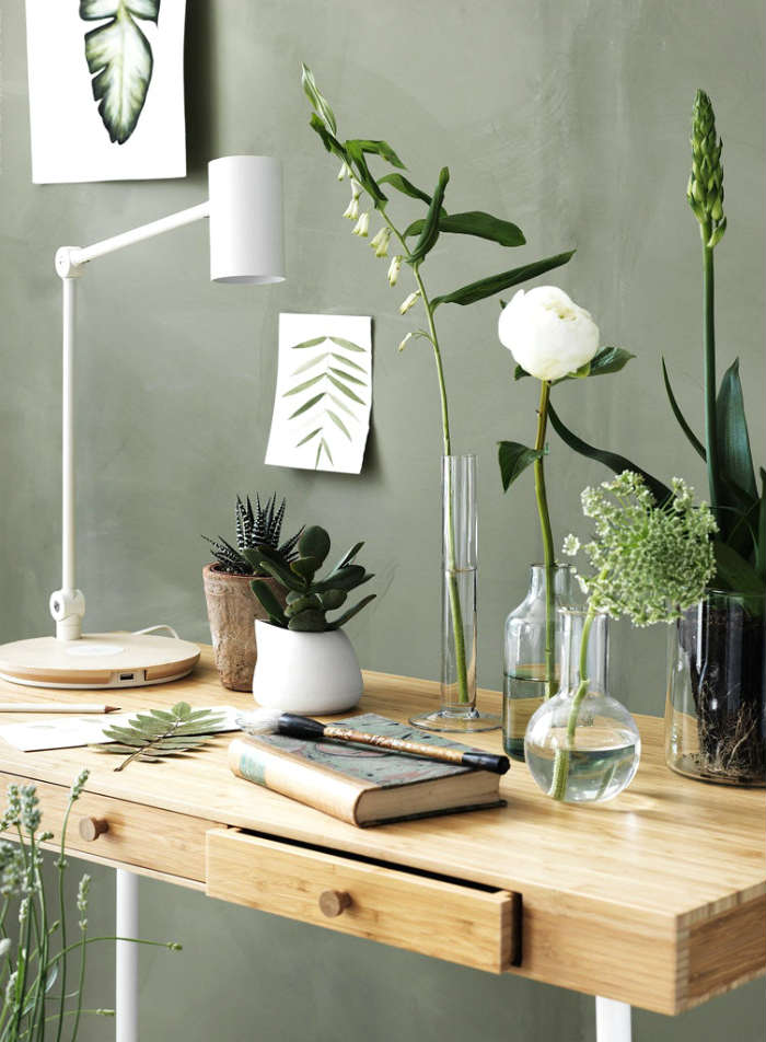 πρασινο του δενδρολιβανου