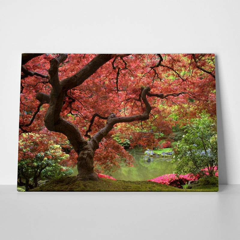 πινακας φθινοπωρο δεντρα φυλλα λιμνη