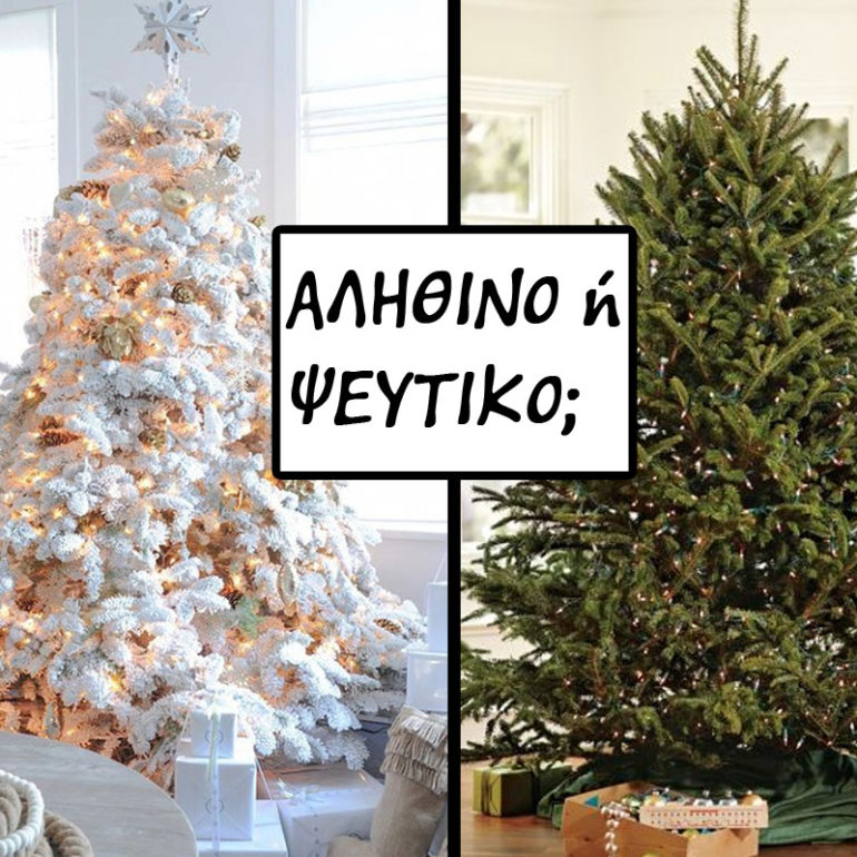 αληθινο η ψευτικο χριστουγεννιατικο δεντρο; περιβαλλον οικολογια ελατο