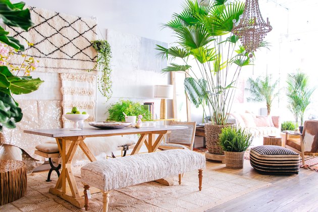 φυτα φυλλωδη διαχωριστικά χωρου κουζινα σαλονι τραπεζαρια