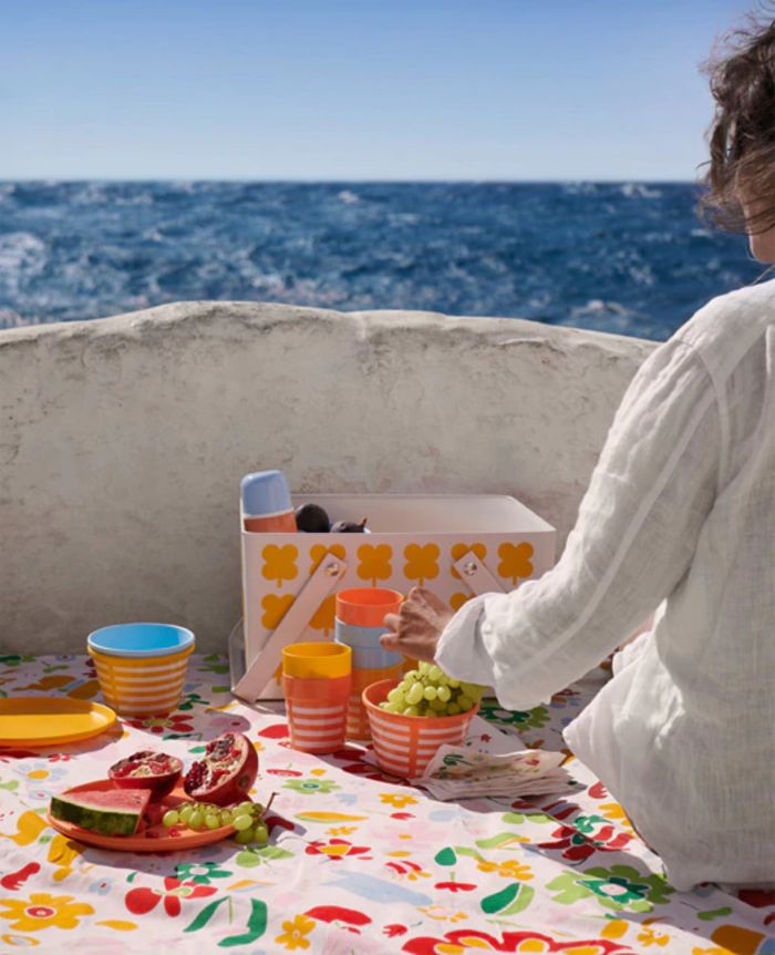 καλαθακι πικ νικ ικεα μεταλλικο 2019