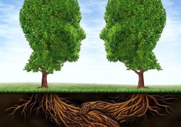 δεντρα φυτα επικοινωνουν ριζες δικτυο υπογειο χωμα δασος