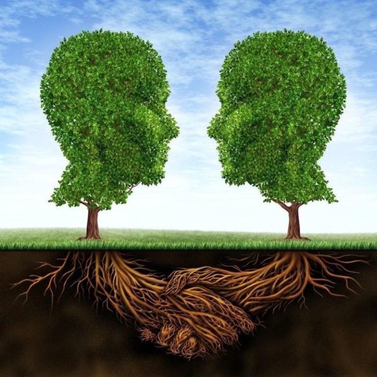 δεντρα φυτα επικοινωνουν ριζες δικτυο υπογειο χωμα δασος