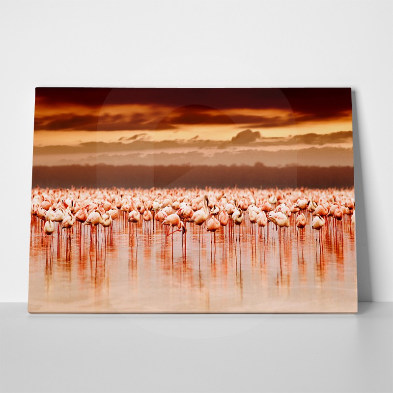 πινακας σε καμβα sticky flamingos in the sunset