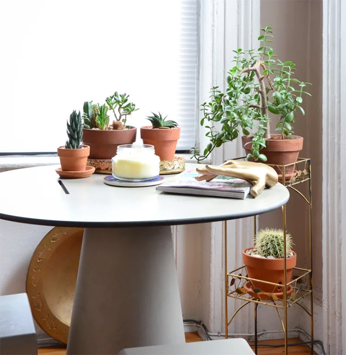 παχυφυτα κακτακια γλαστρες διακοσμηση