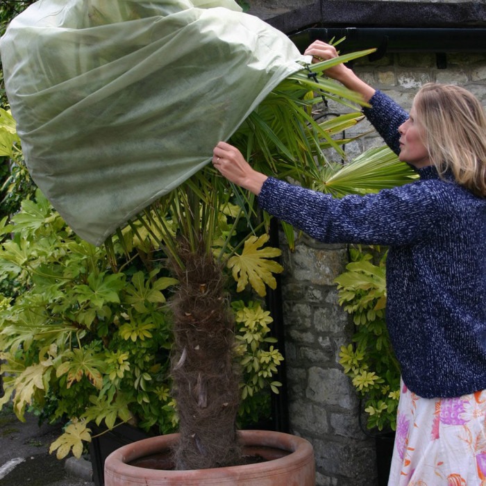 καλυψη φυτων χειμωνας βορινο μπαλκονι σακουλες καλυμματα φυτων