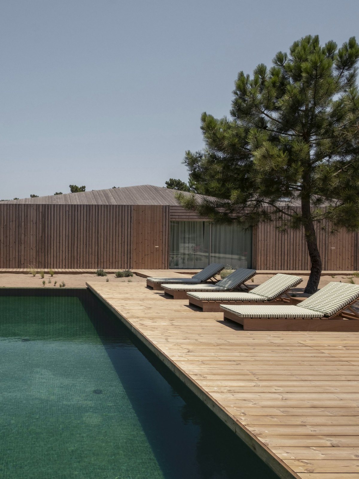 Πισίνα με σκούρο πράσινο νερό, ξύλινο deck με τέσσερις ξαπλώστρες και ένα πεύκο μπροστά σε ξύλινο όγκο με μεγάλη τζαμαρία