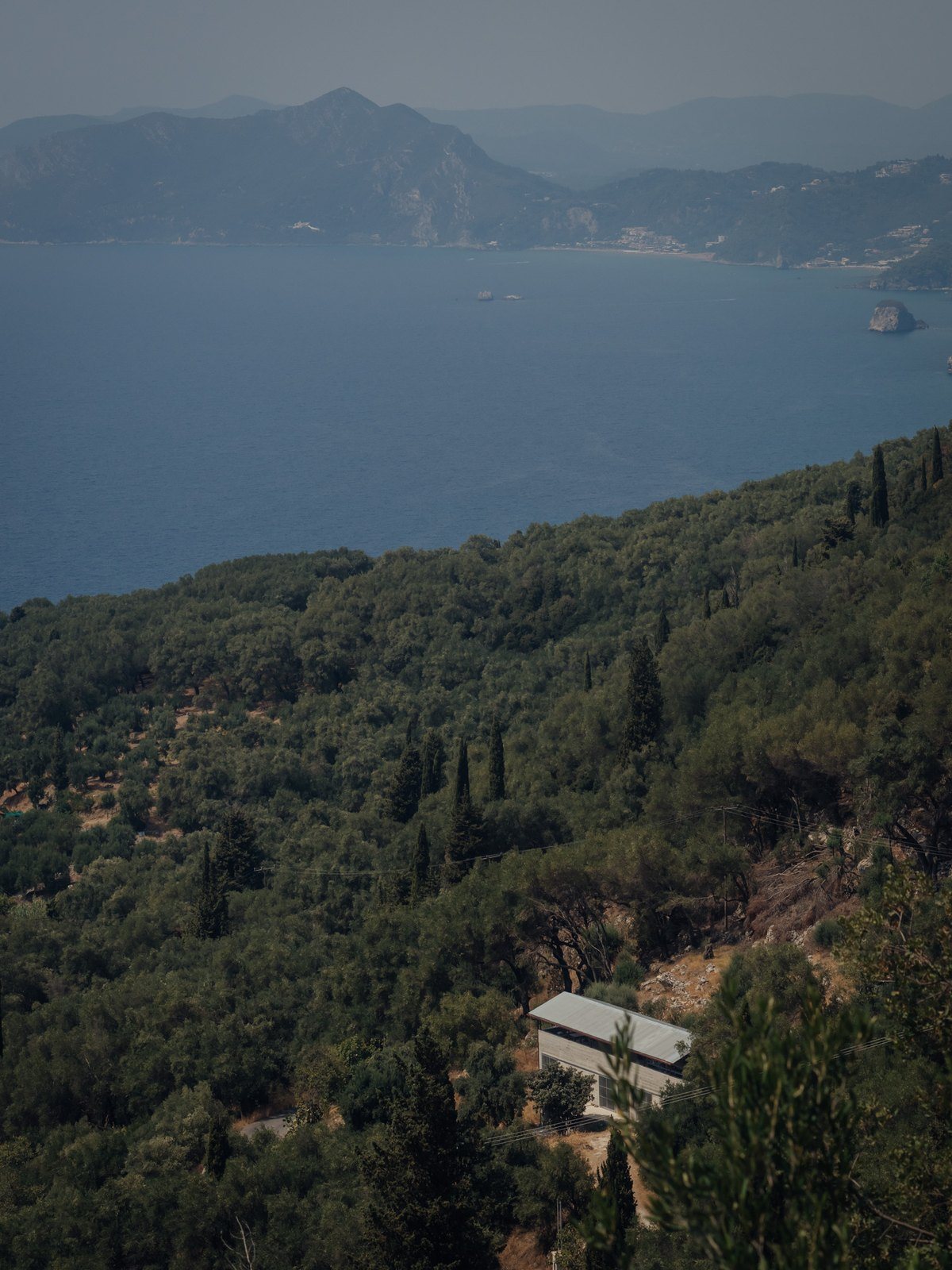 Θέα από ψηλά σε πράσινη πλαγιά με ελιές και κυπαρίσσια, με το σπίτι μικρό ανάμεσα στα δέντρα και τη θάλασσα στο βάθος
