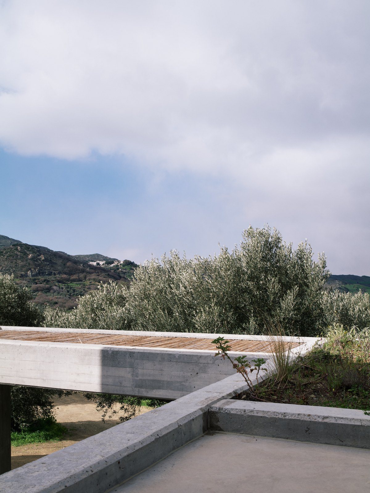 Φυτεμένο δώμα με χαμηλά φυτά δίπλα σε δοκάρι από μπετόν και πέργκολα με καλάμια, με ελιές και λόφους στο βάθος