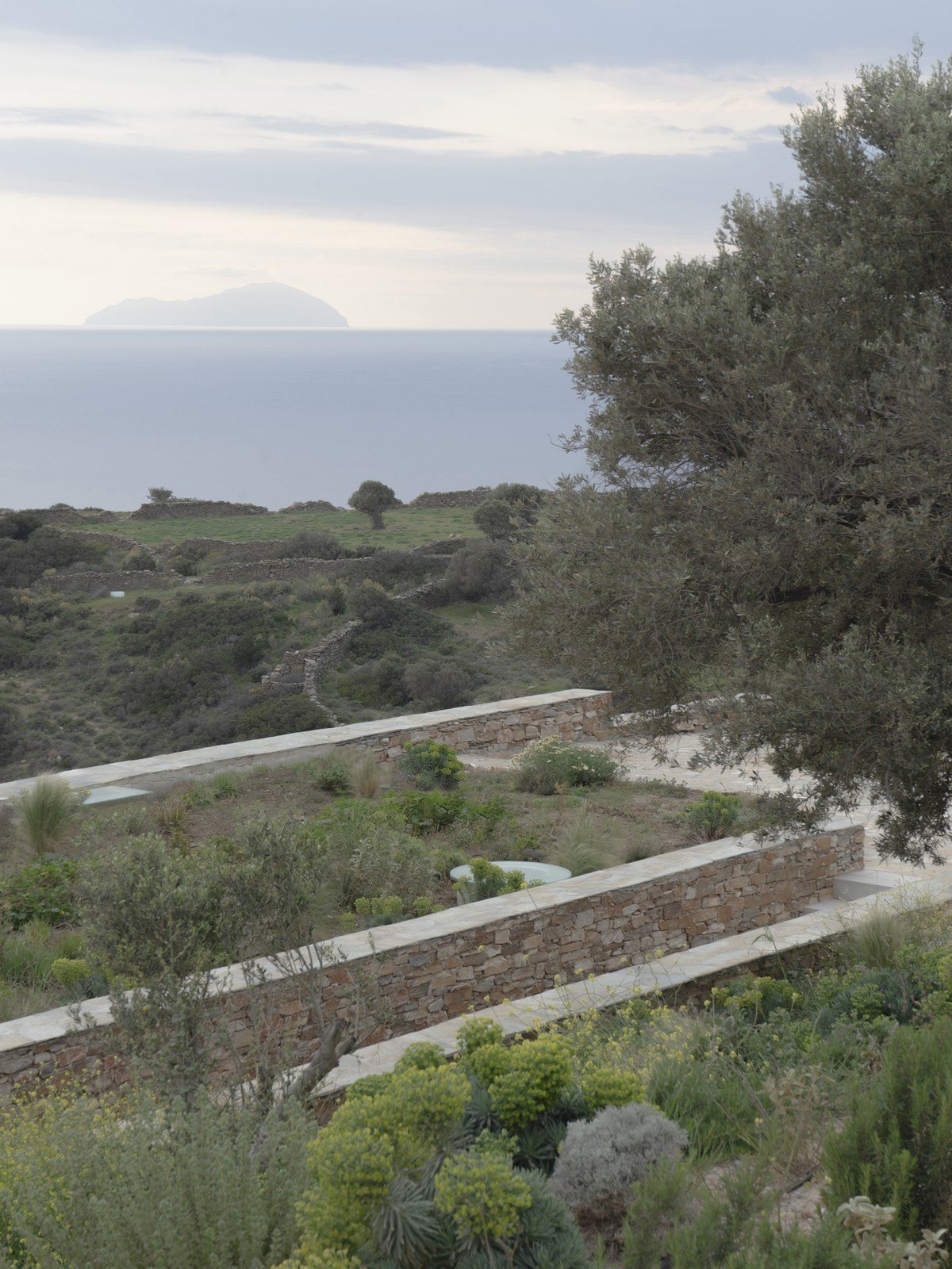 Φυτεμένες πεζούλες με πέτρινα πεζούλια, θάμνους και ελιά, με θέα στη θάλασσα και σε ένα νησί στον ορίζοντα